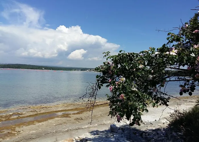 Apartament Dom Loron Poreč