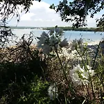 Apartamento Dom Loron *