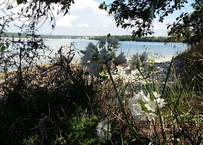 Apartman Dom Loron *